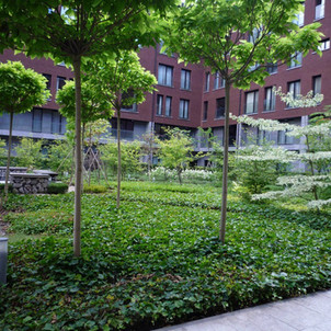 Aménagement Jardin Dilbeek pour collectivités egta Christian Devallée Régis Passacaille