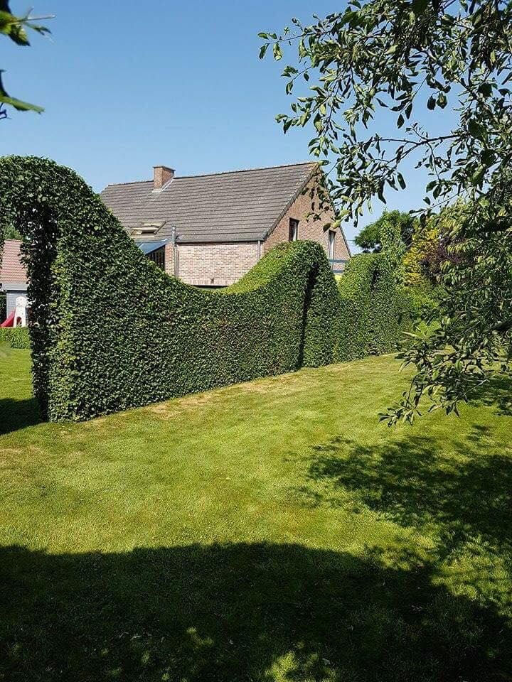 Balcaen Parcs & Jardins