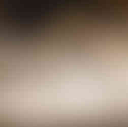 Afbraak brug E313 Geel