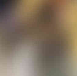 Afbraak brug E313 Geel