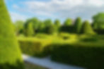 tuinonderhoud