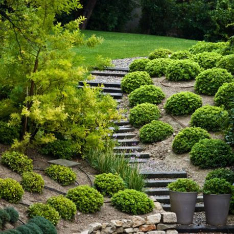 Aménagement plantation