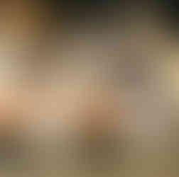 Afbraak brug E313 Geel