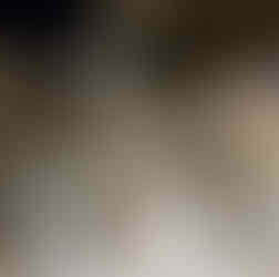 Afbraak brug E313 Geel