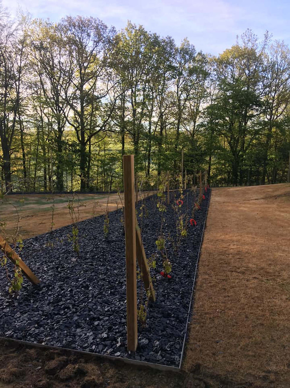 réalisations Vie en Vert