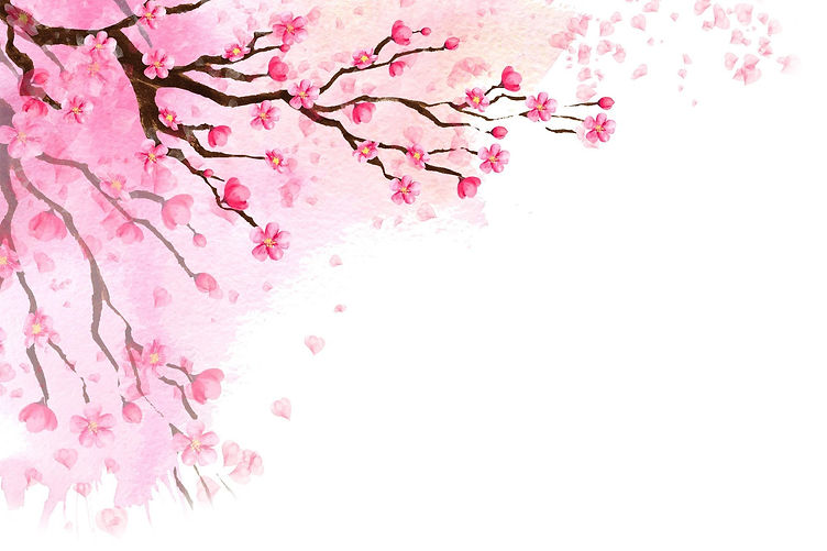 Sakura