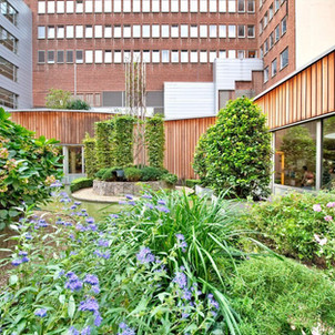 Réalisations aménagement Jardin Dilbeek - Entreprises Christian Devallée Régis Clinique saint jean