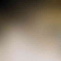 Afbraak brug E313 Geel