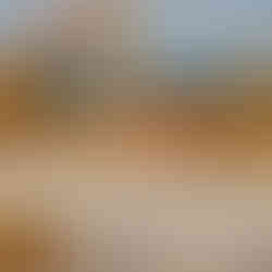 Verlenging start-en landingsbaan Bierset