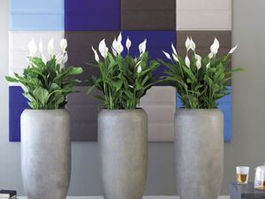 aménagement floral et végétal