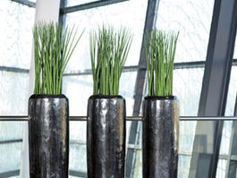 aménagement floral et végétal