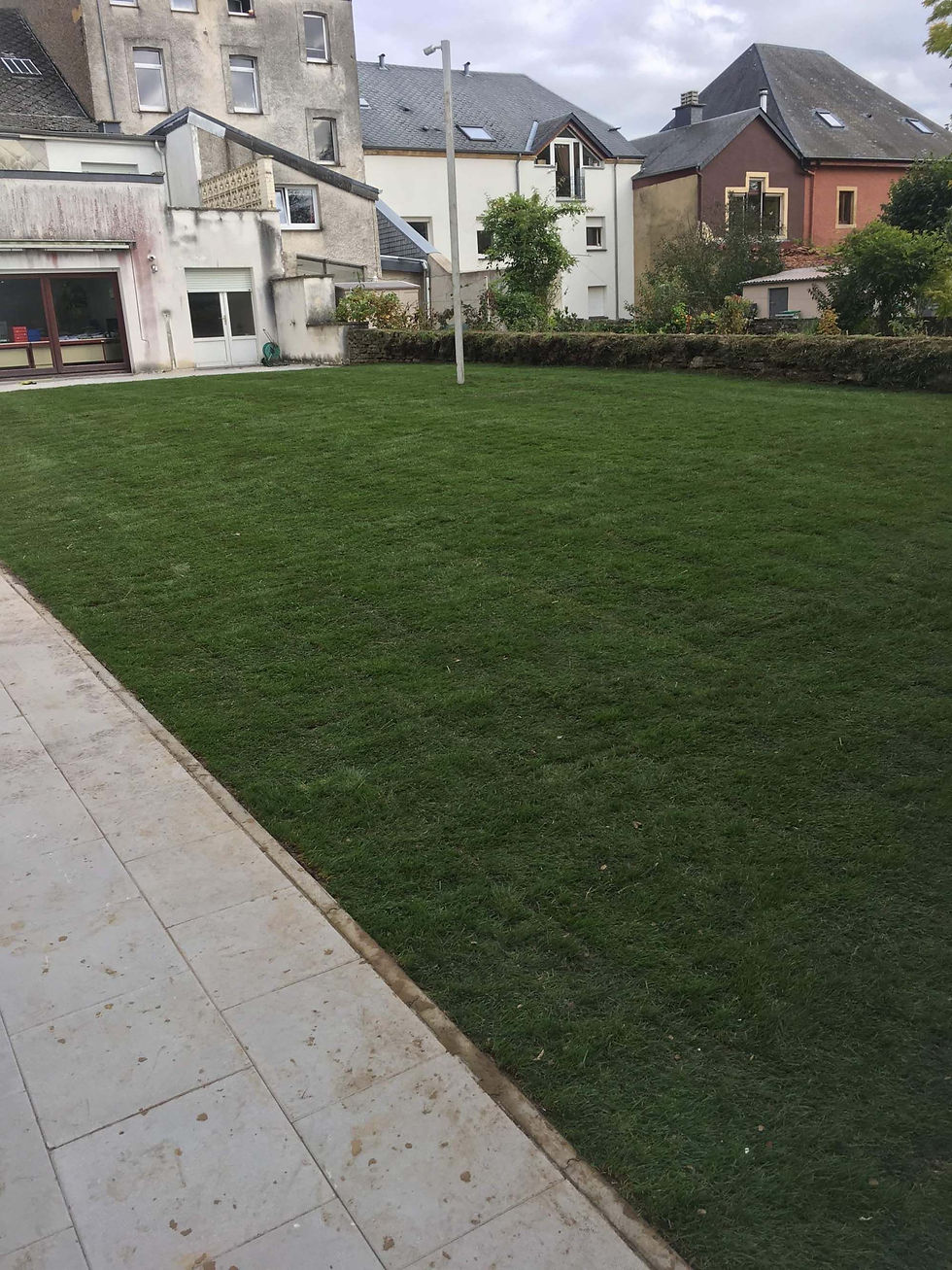 réalisations Vie en Vert