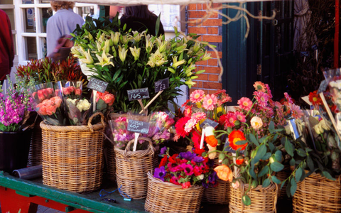 Flora Duchateau bloemen