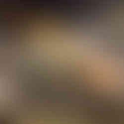 Afbraak brug E313 Geel