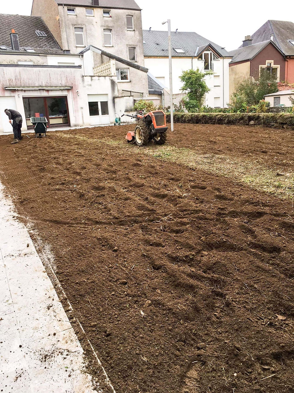 réalisations Vie en Vert