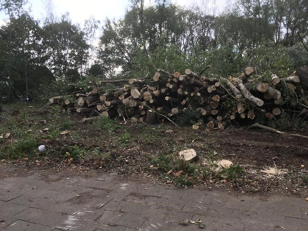 De Rijck Karel bvba