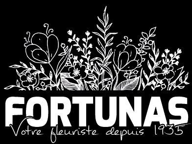 www.fortunasfleursmouscron.be