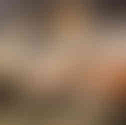 Afbraak brug E313 Geel