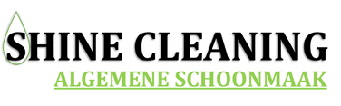 Shine Clean