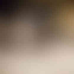 Afbraak brug E313 Geel