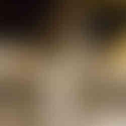 Afbraak brug E313 Geel