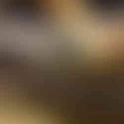 Afbraak brug E313 Geel