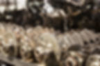 Recyclage auto & vente pièces d'occasion à Liège