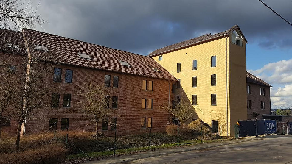Ontmossen daken: Ibis-Hotel Waver