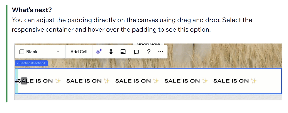 Demo of adjusting padding on Wix element in Wix Studio