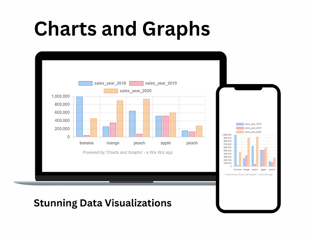 Charts and Graphs Preview 0