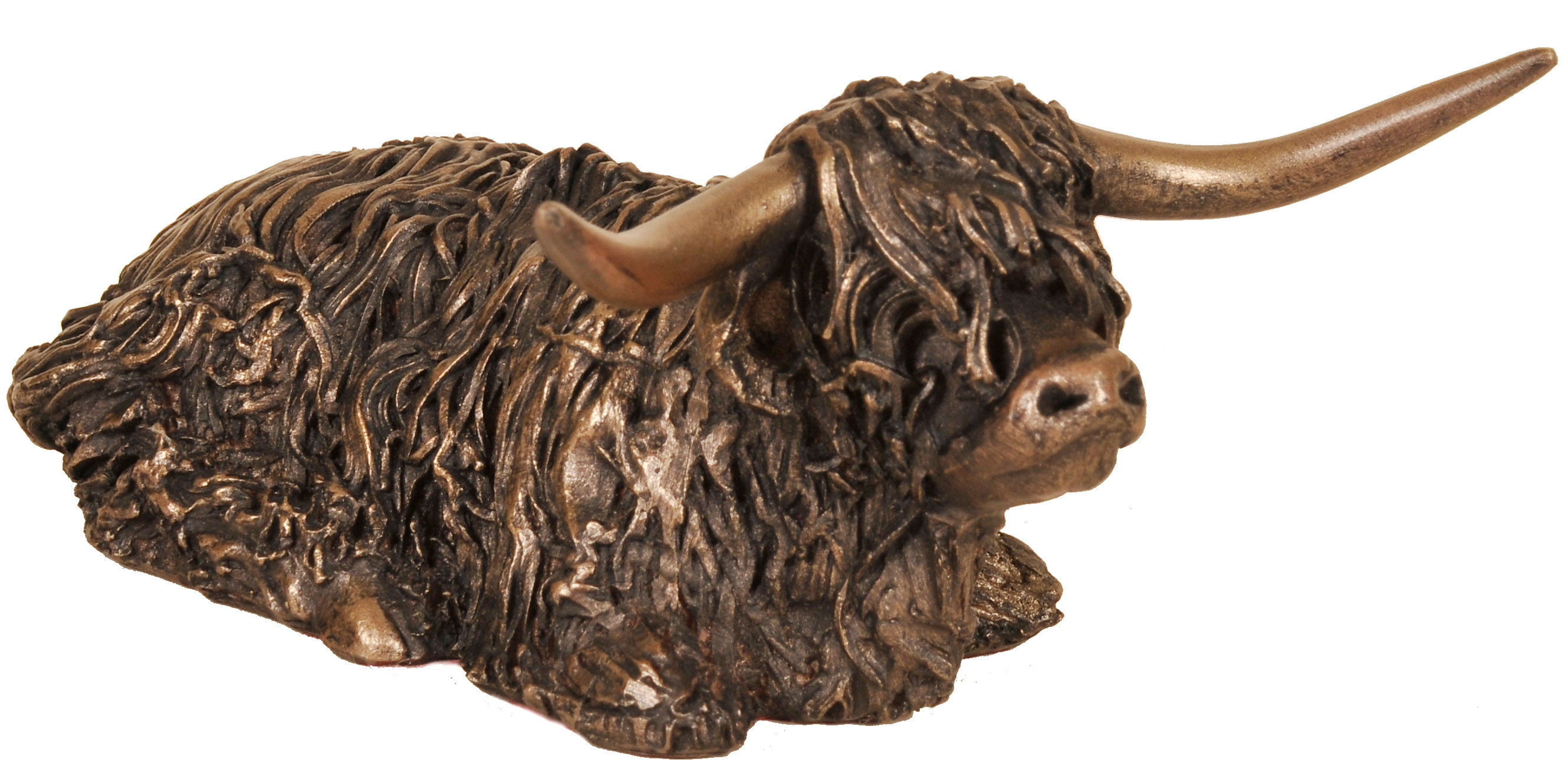 Highland Bull Sitting (Medium)