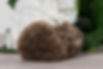 frith-sculpture-11.JPG