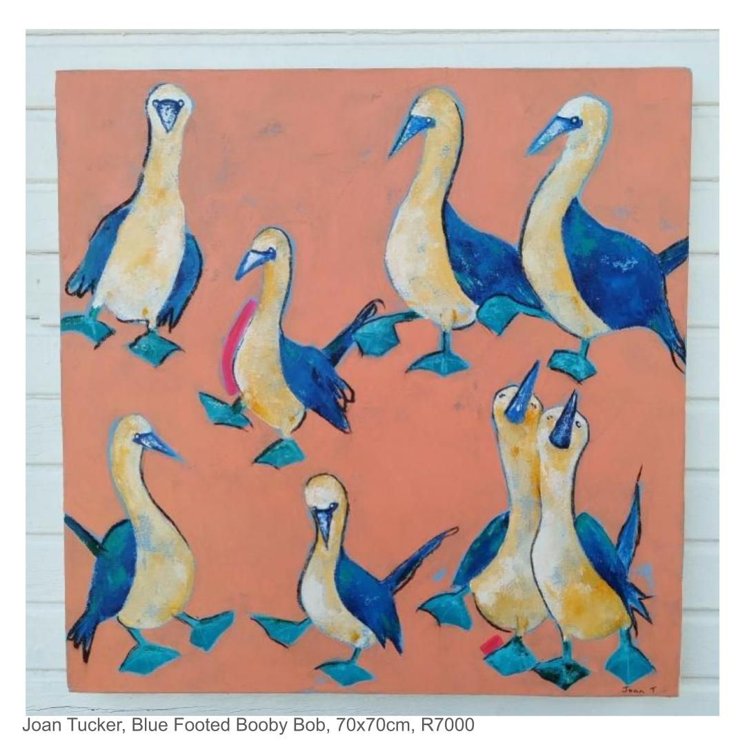 Joan Tucker, Blue Footed Booby Bob