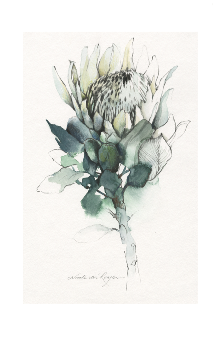 Miniatura: NICOLE VAN ROOYEN - IMPRESIONES DIGITALES DE LA COLECCIÓN FYNBOS