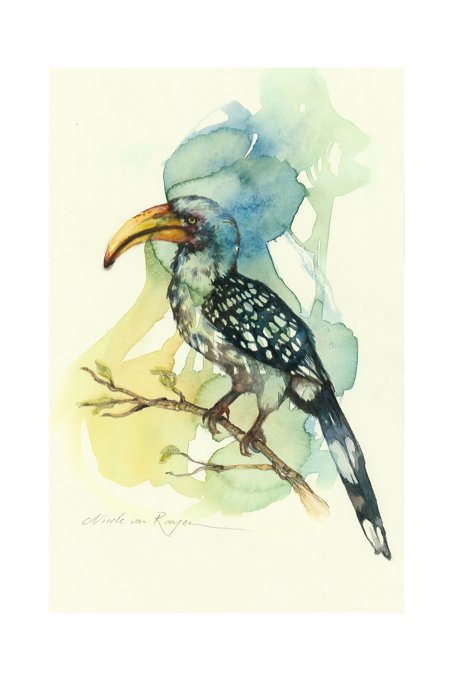 Miniature : NICOLE VAN ROOYEN - IMPRESSIONS NUMÉRIQUES D'OISEAUX