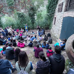 Fiesta del Cerezo en Flor