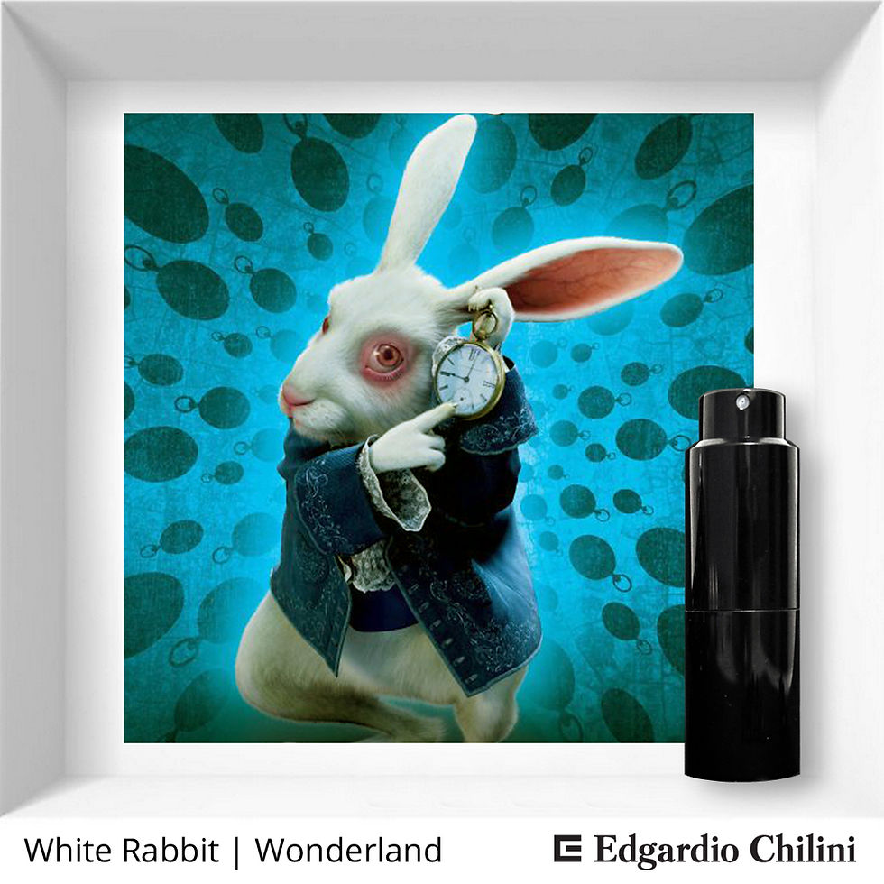 White Rabbit Edgardio Chilini