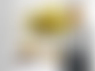 Theme Mimosa — мимоза как тема