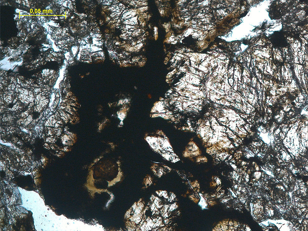 Martian Meteorite
