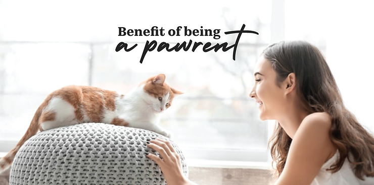 benefit of being a pawrent
