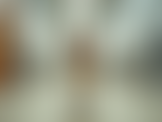 Top Benefits of Dog Boarding Services