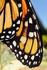 P9120011_edited.jpg