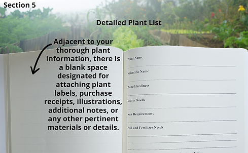 Untitled Design(7).png