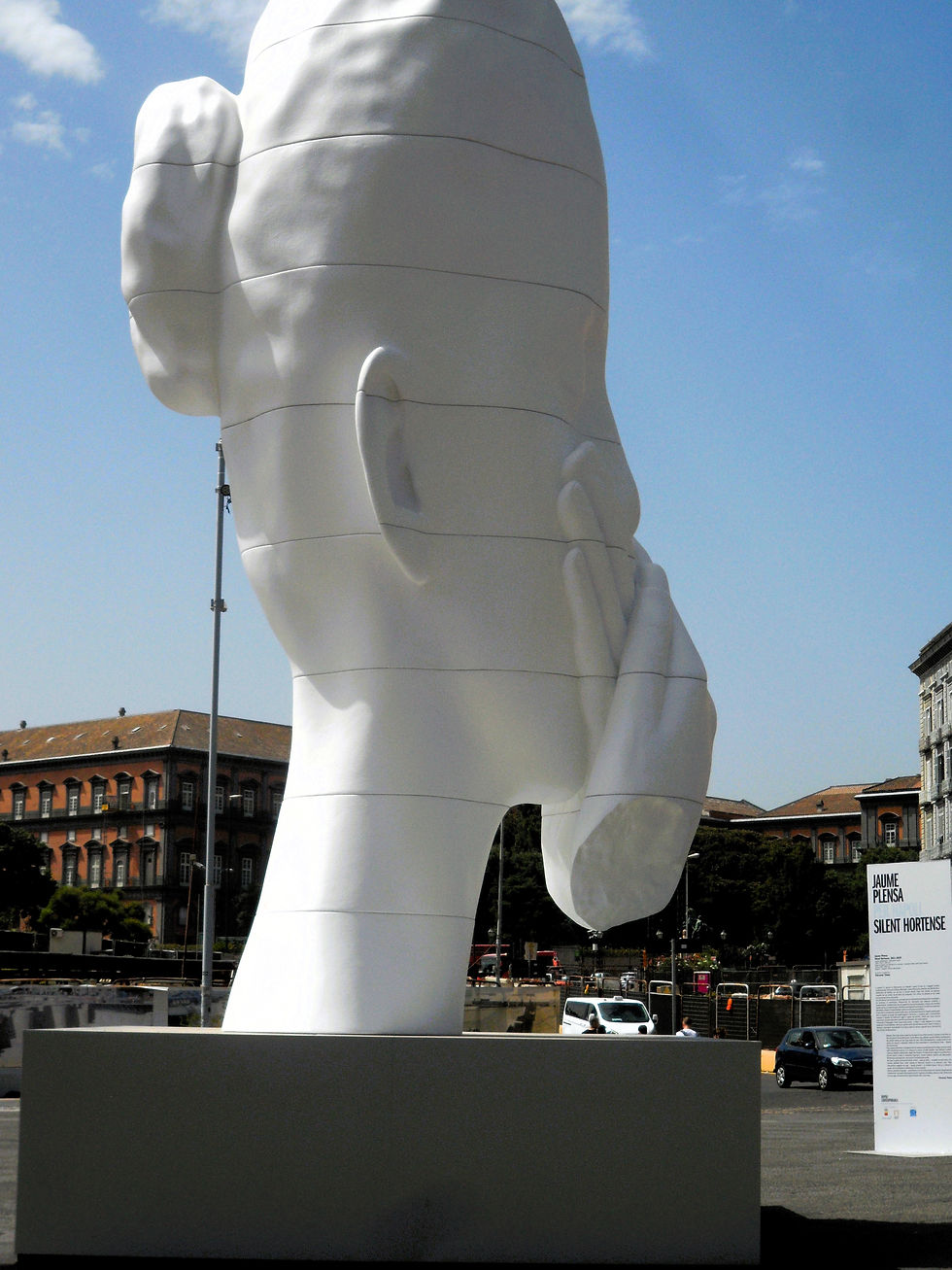 SILENT HORTENSE - Piazza Municipio - Napoli