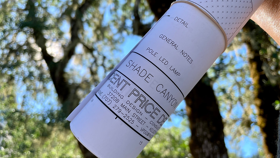 Summer Solstice Playdate and Facility Announcement