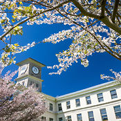 university building in spring.jpg
