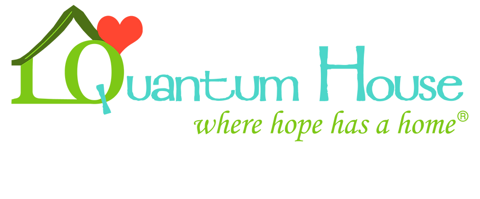 QH Logo Transparent Backround.png