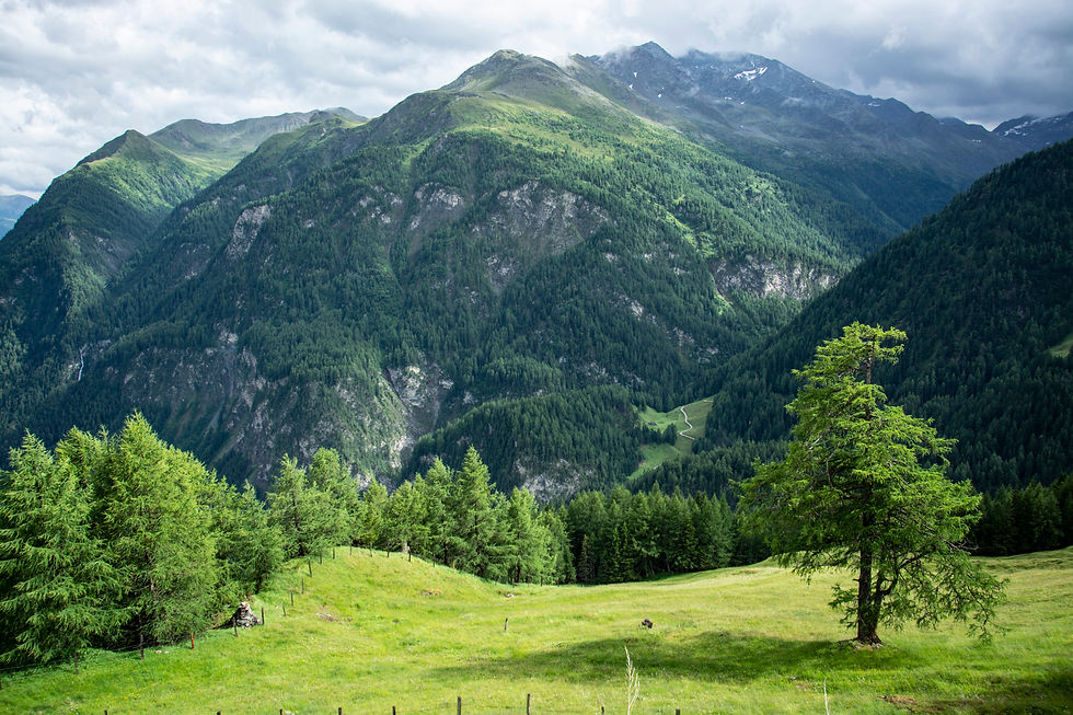 Разноцветная Европа. Выпуск 1. Альпы с разных ракурсов
