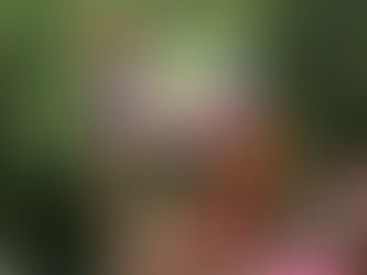 Why FIFA and Its Western Sponsors Should Be Ashamed of Anti-Queer Violence in Russia