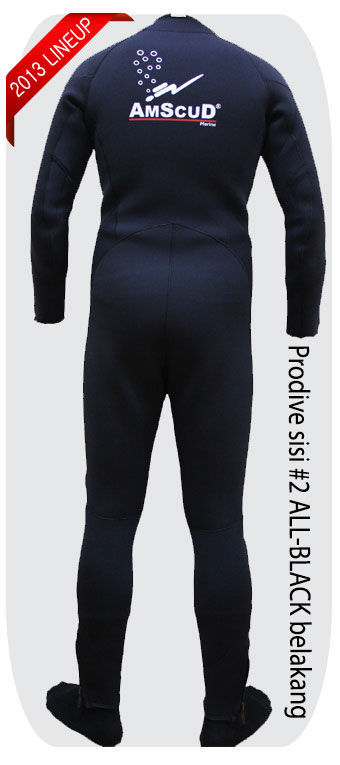 Thumbnail: Wetsuit AmScuD Prodive Reversible